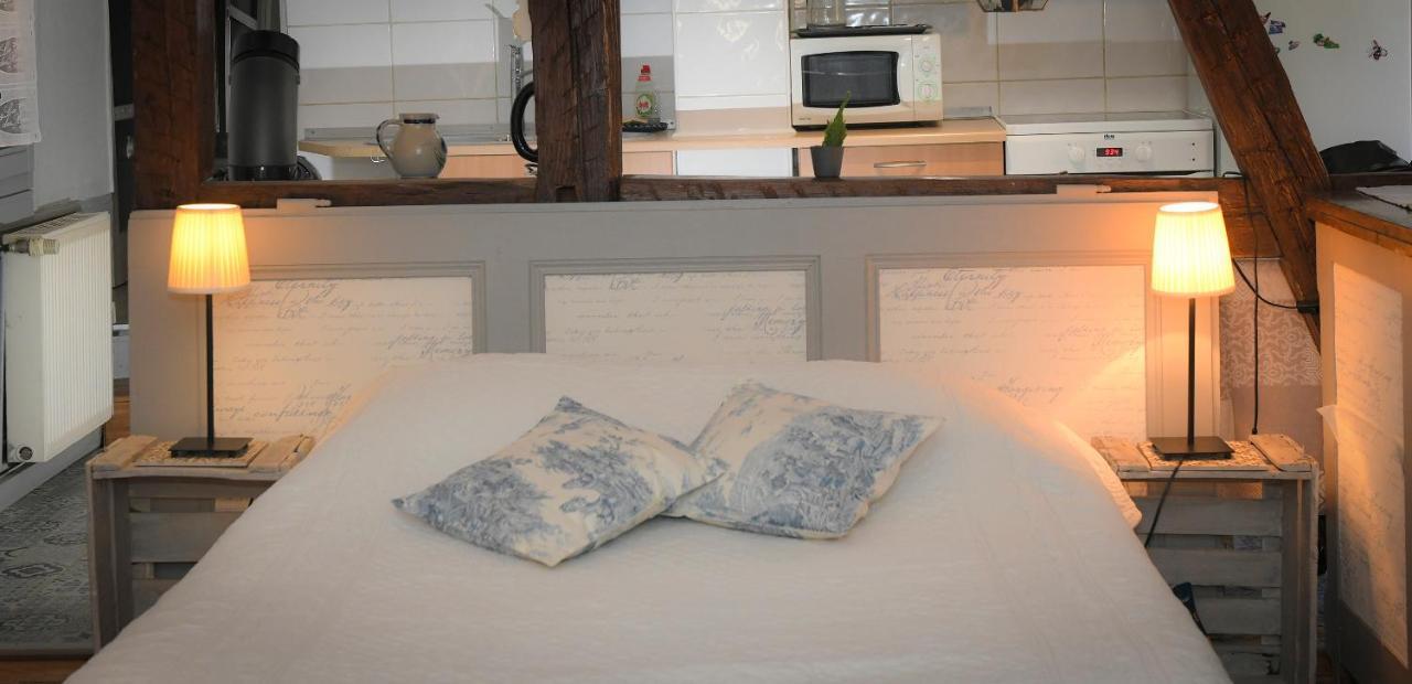 Le Duplex Daire Colmar Dış mekan fotoğraf